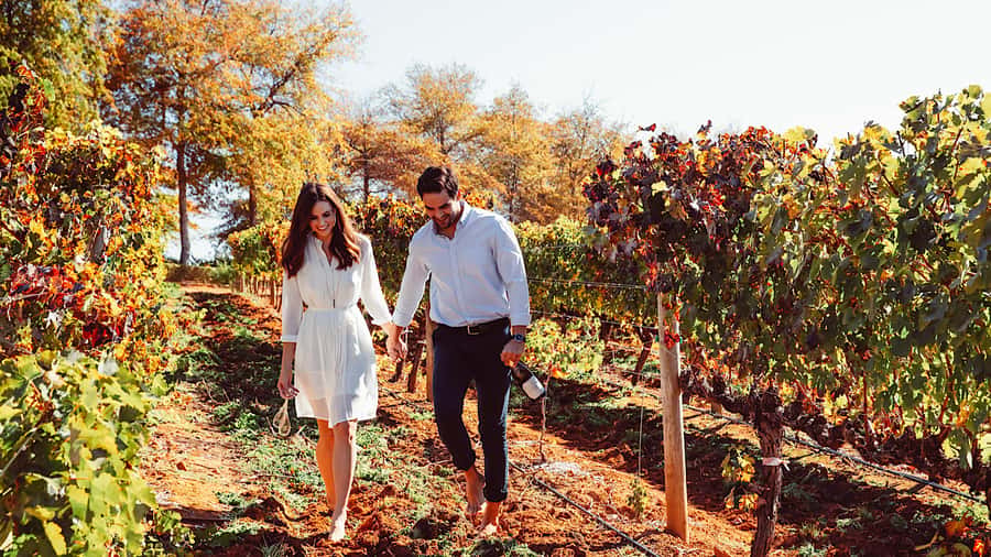 From Cape Town: Cape Winelands Full-Day Private Tour - Key points at a glance