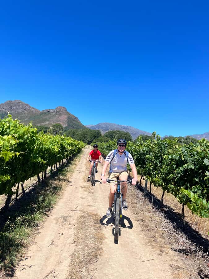 From Cape Town: Franschhoek Vineyards Bike Tour with Lunch - Key points to know before booking