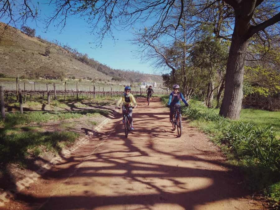 From Cape Town: Franschhoek Vineyards Bike Tour with Lunch - The first vineyard roads and wine tasting