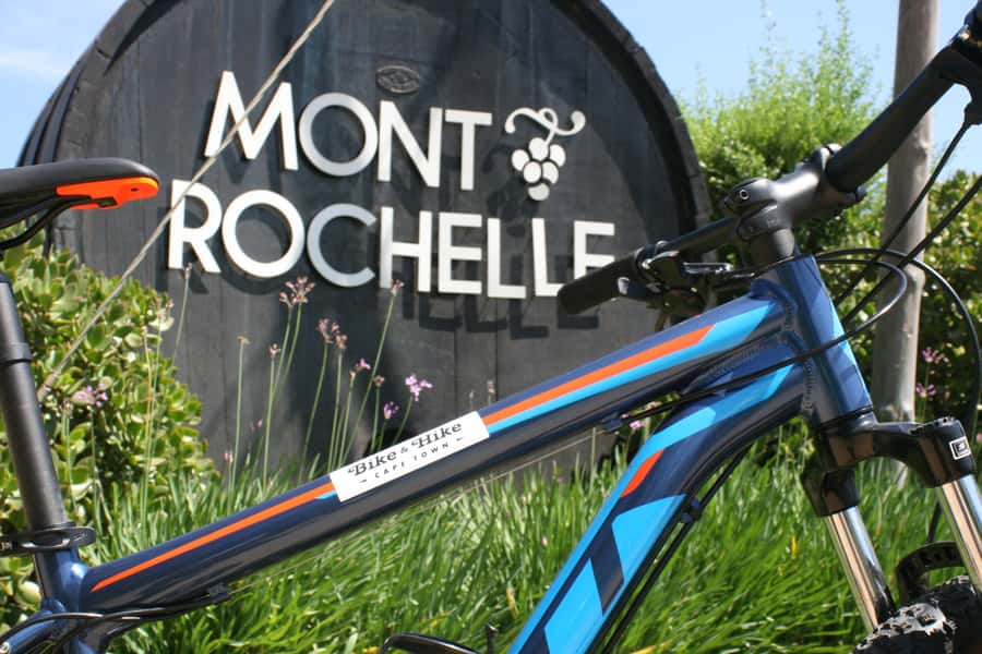 From Cape Town: Franschhoek Vineyards Bike Tour with Lunch - Who will enjoy this tour most