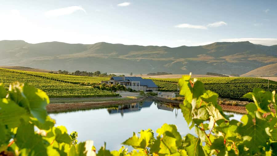 From Cape Town: Full-Day Cape Agulhas Private Tour - What the $196 price really buys you