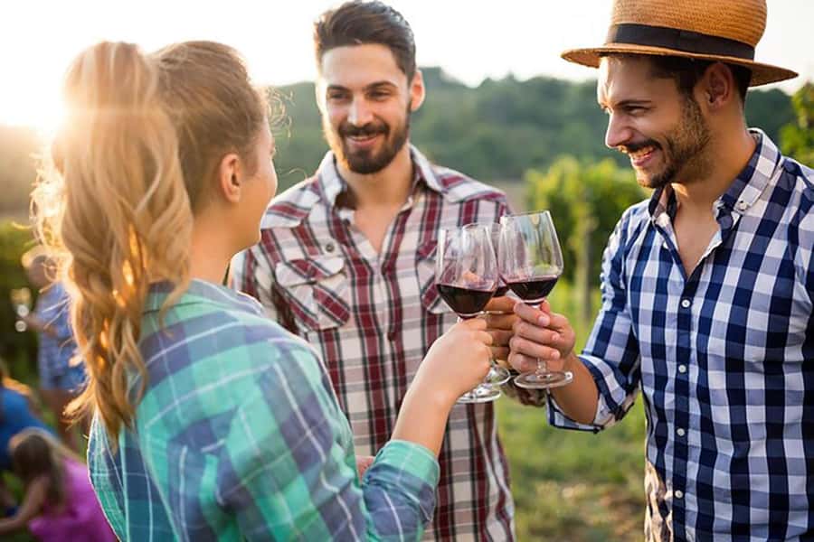 From Cape Town: Full-Day Cape Winelands Taste Tour + Tram - Key points at a glance