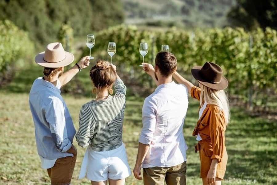 From Cape Town: Full-Day Cape Winelands Taste Tour + Tram - The Franschhoek Wine Tram is the day’s signature ride