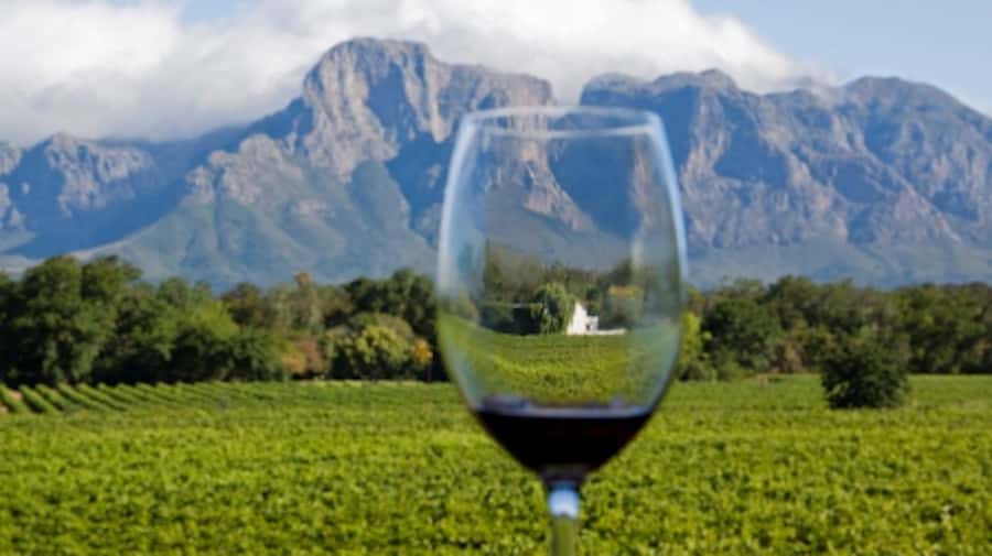 From Cape Town: Full-Day Cape Winelands Taste Tour + Tram - The main practical catch: winery changes