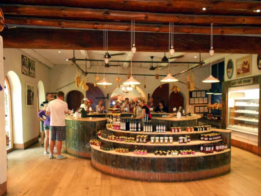 From Cape Town: Full-Day Cape Winelands Taste Tour + Tram - Who will enjoy this Cape Winelands tour?