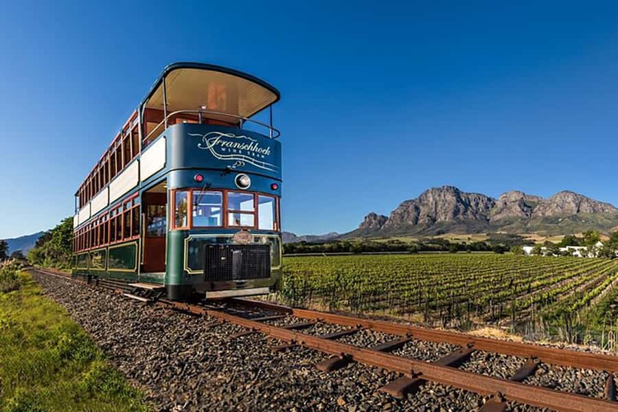 From Cape Town: Full-Day Cape Winelands Taste Tour + Tram - Fairview turns wine tasting into a food stop