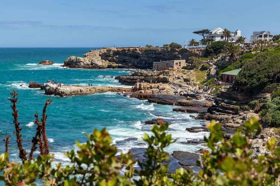 From Cape Town: Full-Day Hermanus Whale Watching Tour - Harold Porter Botanical Gardens: a calm first stop
