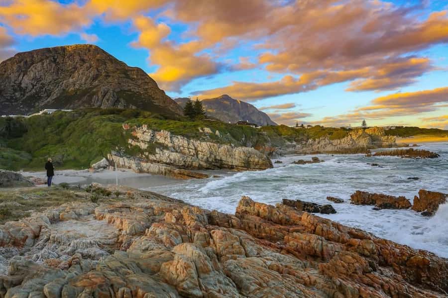 From Cape Town: Full-Day Hermanus Whale Watching Tour - What the $120 price really buys