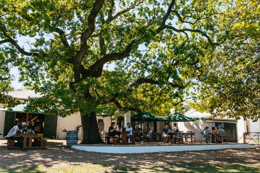 From Cape Town: Full Day Winelands Tour with wine tastings - Key points at a glance