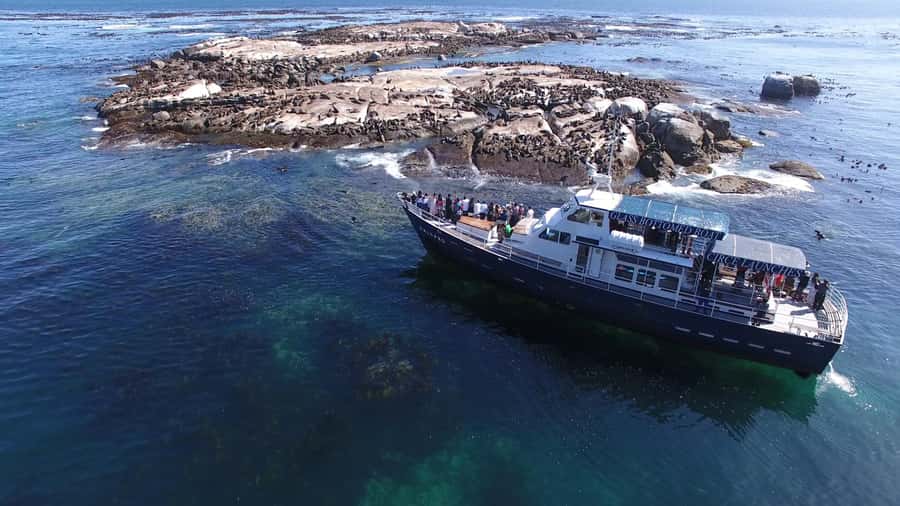 From Cape Town: Glass-Bottom Boat Seal Watching Tour - Choosing your place on the boat
