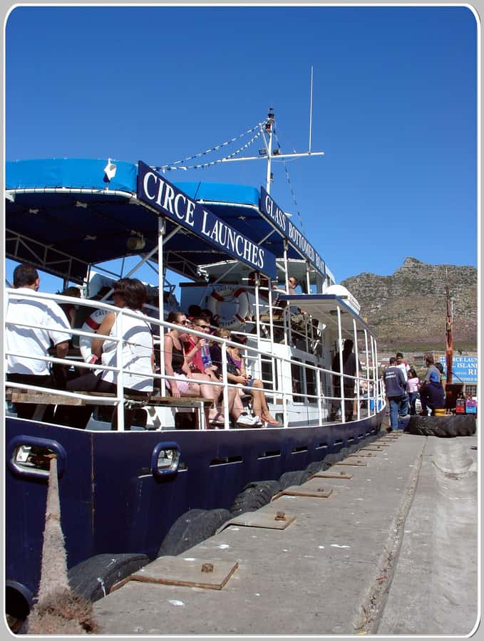 From Cape Town: Glass-Bottom Boat Seal Watching Tour - Price, timing, and overall value