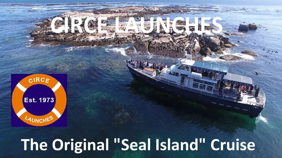 From Cape Town: Glass-Bottom Boat Seal Watching Tour - What the 4.4 rating means in practical terms