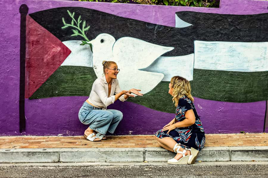 From Cape Town: Half-Day Boulders Beach and Penguins Tour - Is $59 good value?