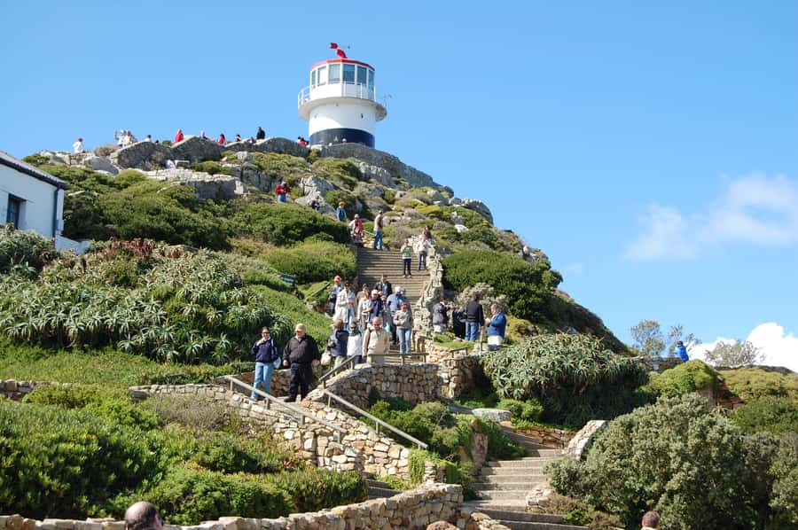From Cape Town: Half Day Cape Point & Penguins Tour - From Sea Point to Chapman’s Peak