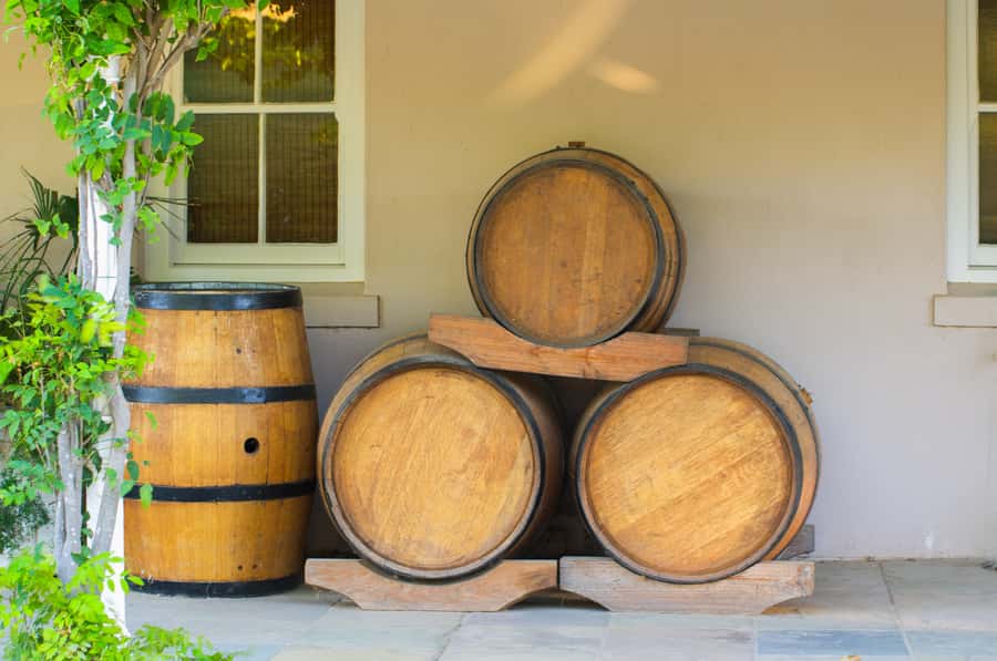 From Cape Town: Half Day Winelands Tour with winetasting - Why this short Stellenbosch trip works