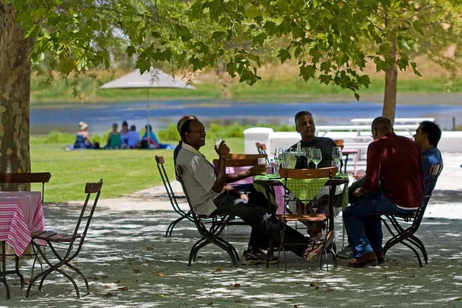 From Cape Town: Half Day Winelands Tour with winetasting - The afternoon pickup from central Cape Town