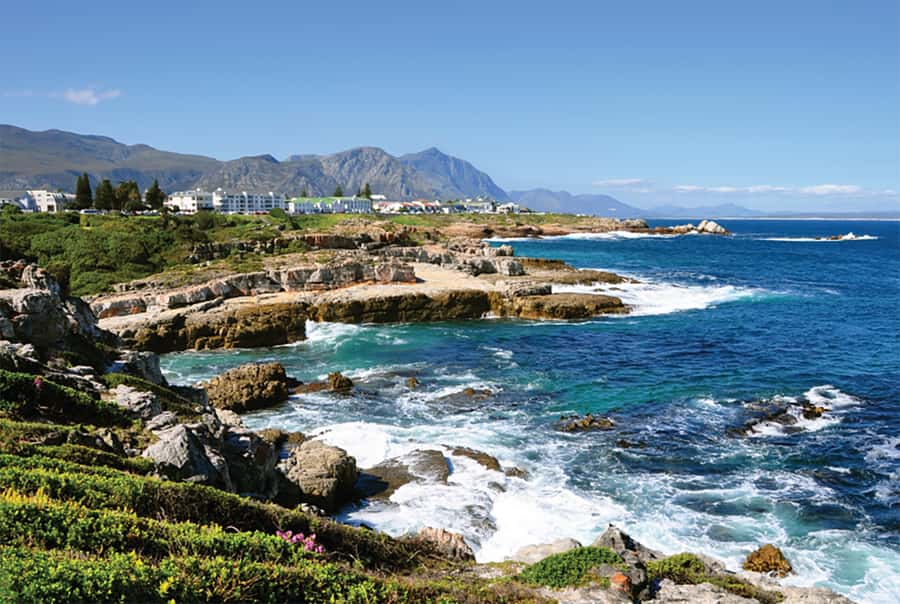 From Cape Town: Hermanus Whale Watching Full Day Tour - Key points to know before booking