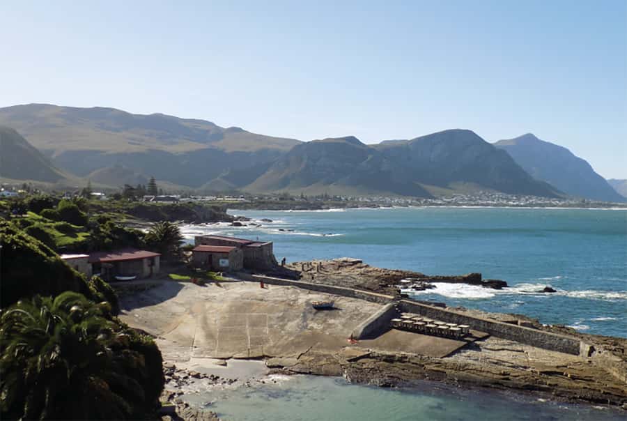 From Cape Town: Hermanus Whale Watching Full Day Tour - Two hours to explore Hermanus