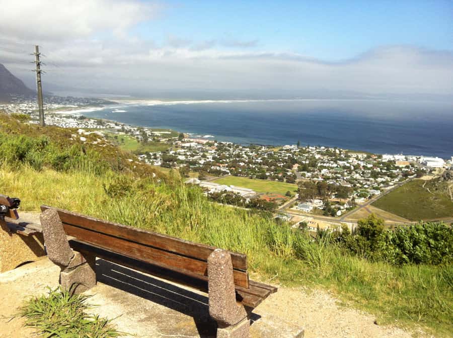 From Cape Town: Hermanus Whale Watching Full Day Tour - Whale watching from shore or boat
