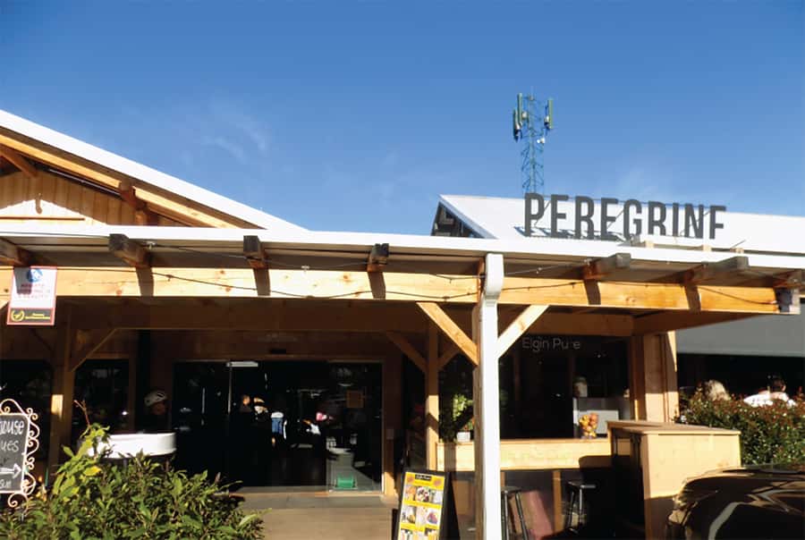 From Cape Town: Hermanus Whale Watching Full Day Tour - Peregrine Farm Store on the return