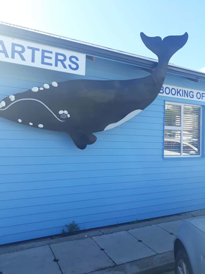 From Cape Town: Hermanus Whale Watching Tour with Transfer - Key points at a glance