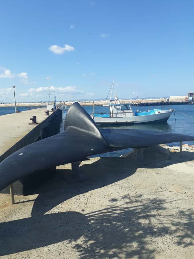 From Cape Town: Hermanus Whale Watching Tour with Transfer - The real reason to go: whales off Hermanus