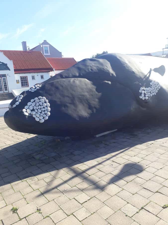From Cape Town: Hermanus Whale Watching Tour with Transfer - The film studio and Stellenbosch wine country