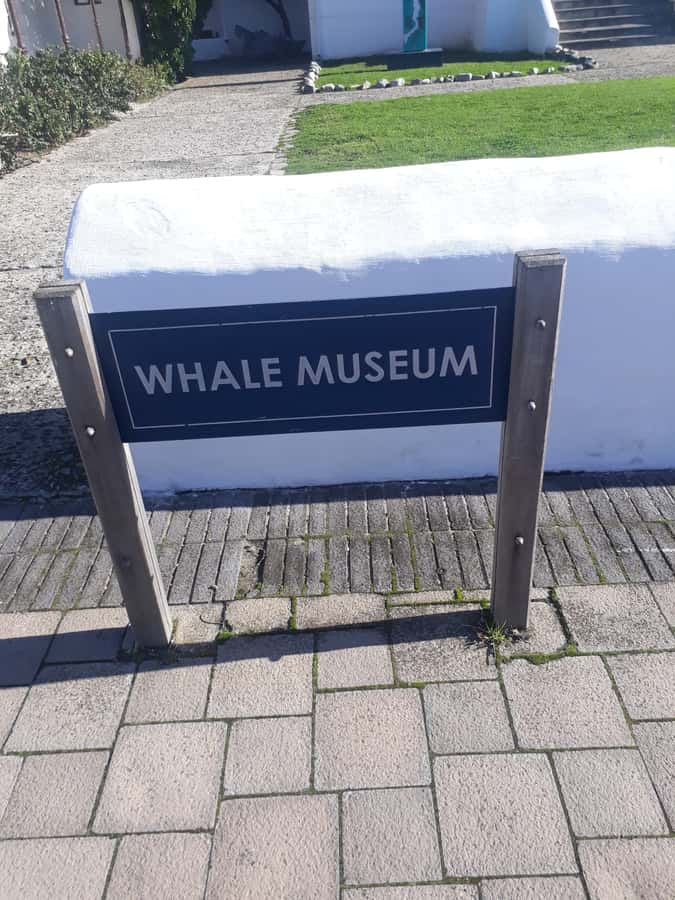 From Cape Town: Hermanus Whale Watching Tour with Transfer - Leaving Cape Town through Langa and Khayelitsha