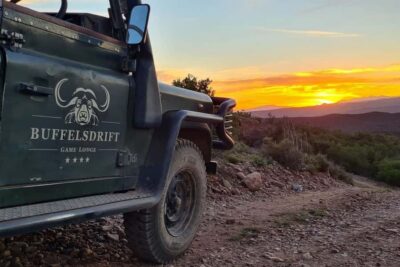 South African Wildlife and Safari 2-Day Tour