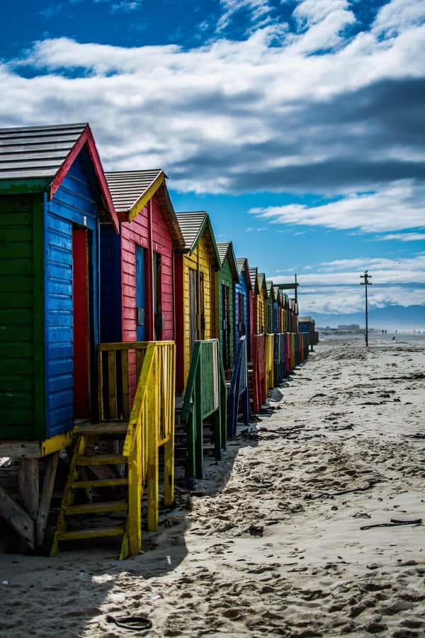 From Cape Town: Table Mountain and Cape of Good Hope Tour - Meeting the penguins at Boulders Beach