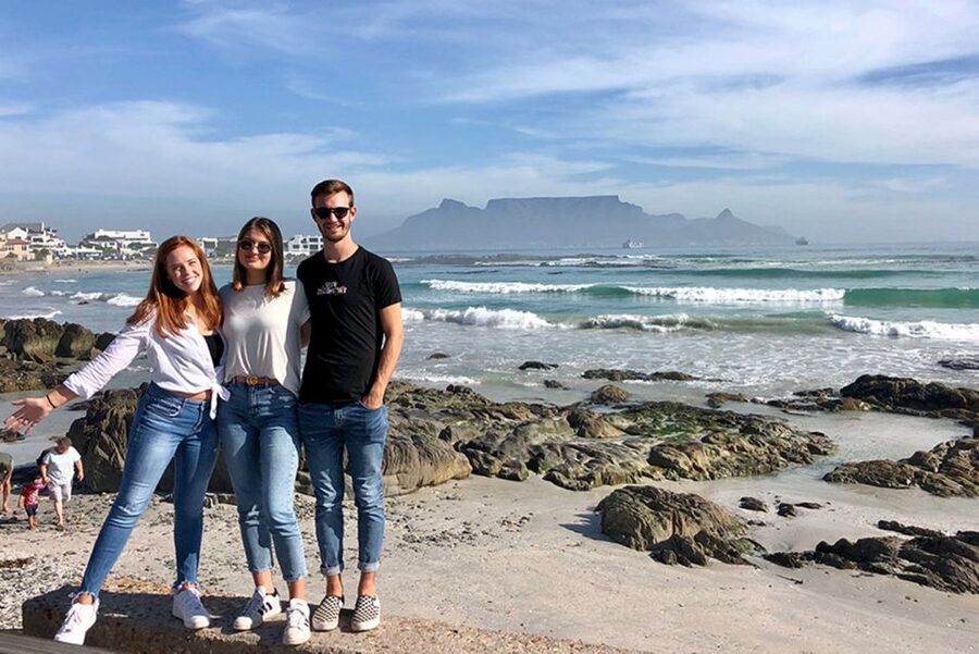 From Cape Town: Wildlife Safari, Olive, Beer & Wine Tasting - Darling Brew and a flexible lunch
