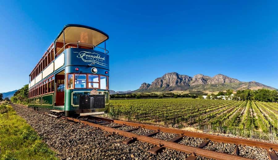 From Cape Town: Winelands Full Day Tour and Wine Tasting - Why this makes a good Cape Winelands day