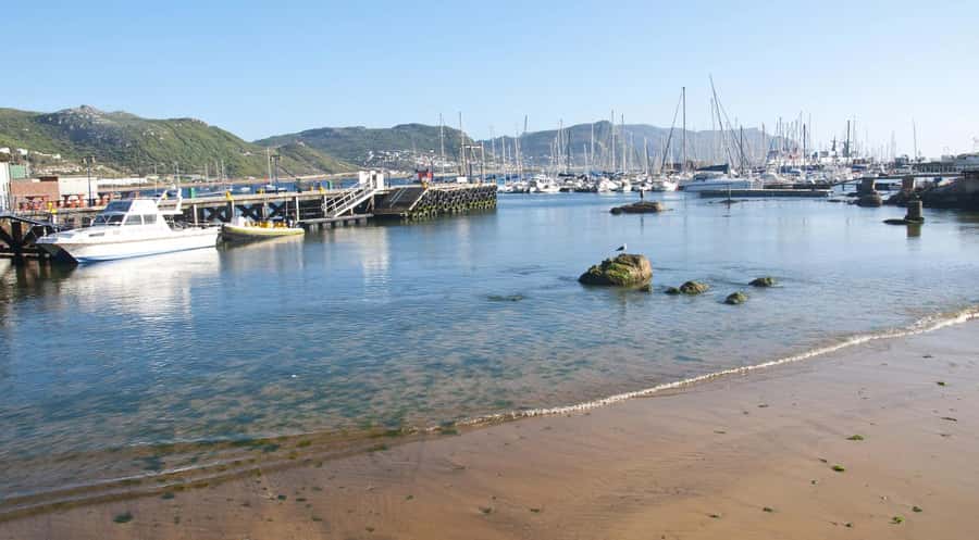 From CapeTown:Full Day Tour to Cape of Good Hope&Cape Point - What the $40 price really covers
