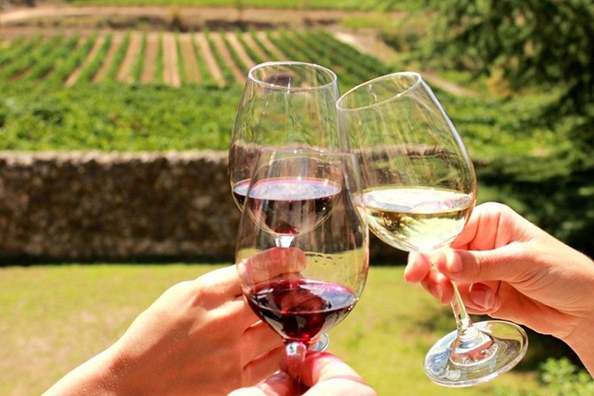 From CapeTown: Stellenbosch Half Day Wine Tour - Suider Paarl and the first six-wine tasting