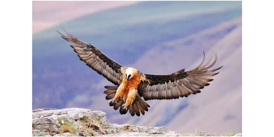 From Durban: 2-Day Lesotho Guided Trip with Lodging & Meals - From Durban to Underberg before the climb