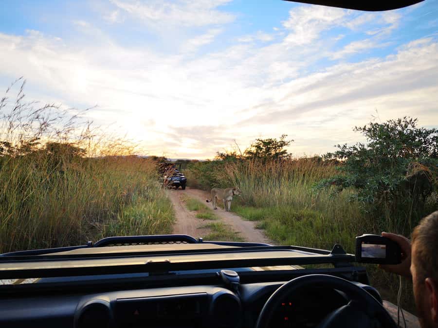 From Durban: Wildlife Lovers Big 5 Safari at 2 Game Reserves - The 5 AM Start From Durban