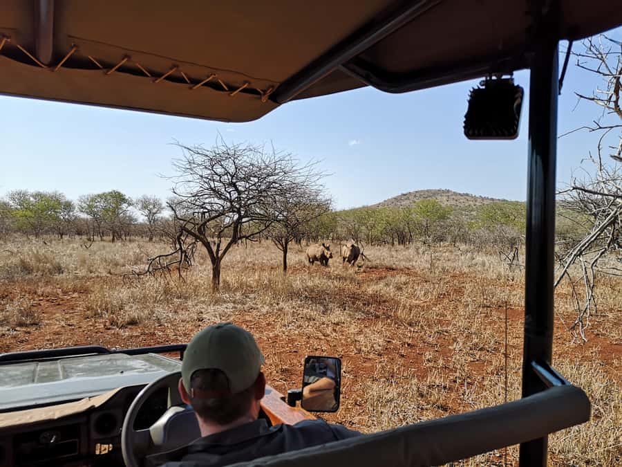 From Durban: Wildlife Lovers Big 5 Safari at 2 Game Reserves - The Main Drawbacks to Think About
