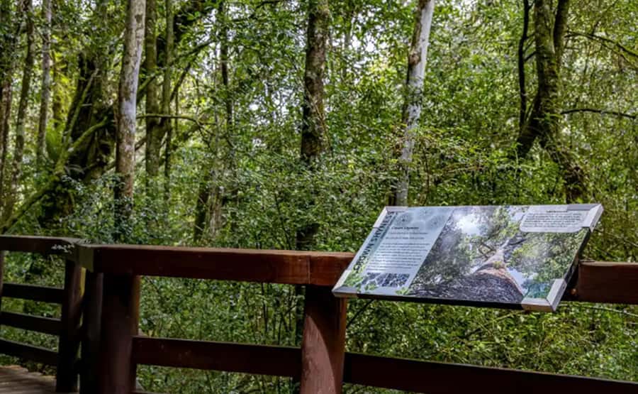 From Hazyview: Full-Day Guided Panorama Tour - Key points at a glance