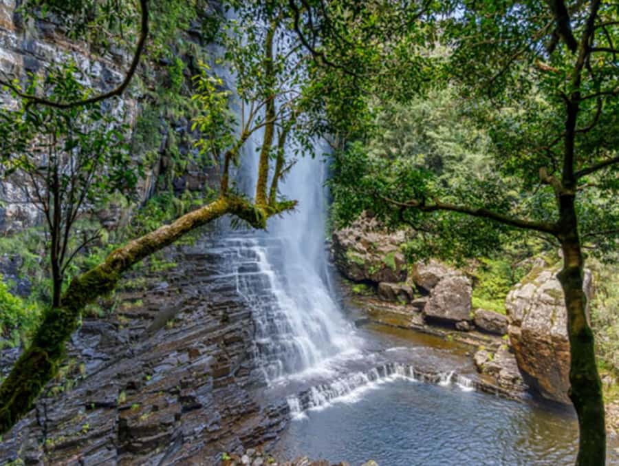 From Hazyview: Full-Day Guided Panorama Tour - Lisbon Falls gives the route a change of rhythm