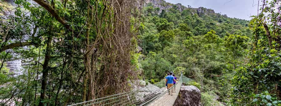 From Hazyview: Full-Day Guided Panorama Tour - The guide makes a real difference