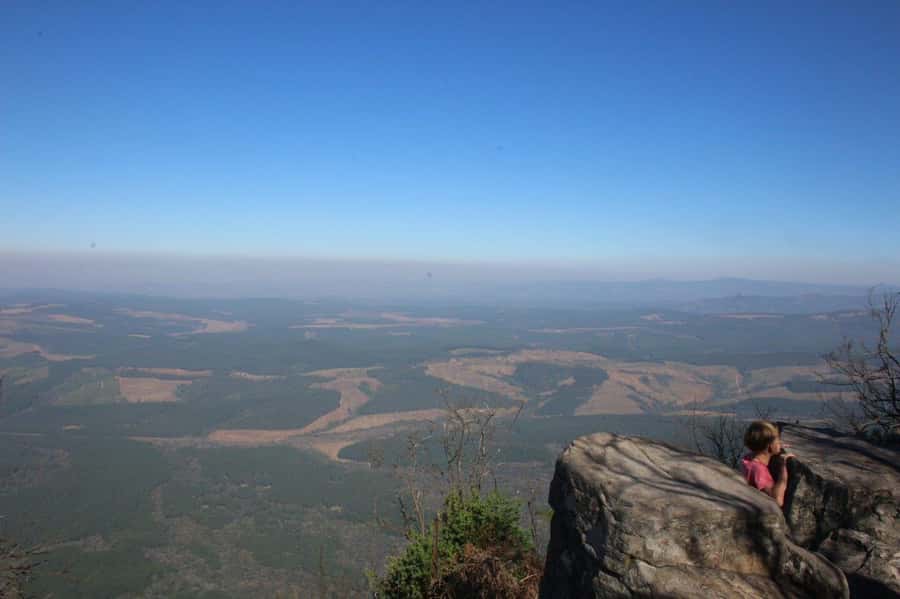 From Hazyview: Full-Day Panorama Route & Gorge Lift Tour - God’s Window and Wonderview
