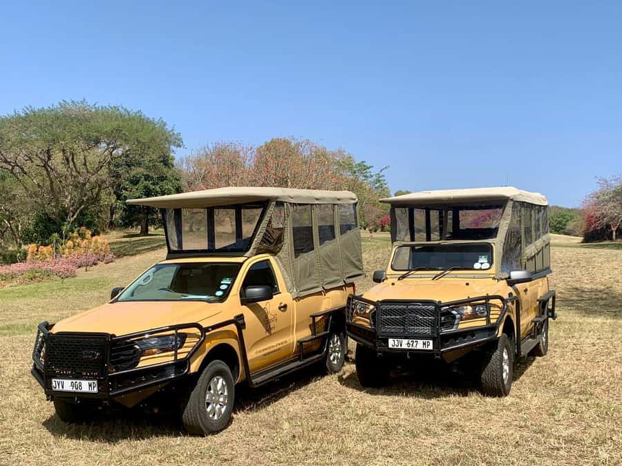 From Hazyview: Kruger National Park Full-Day Safari - Why the pre-dawn start matters in Kruger