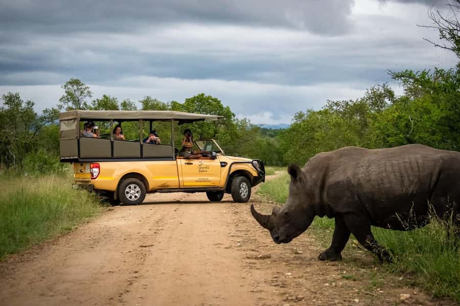 From Hazyview: Kruger National Park Full-Day Safari - Following the Big Five and the smaller surprises