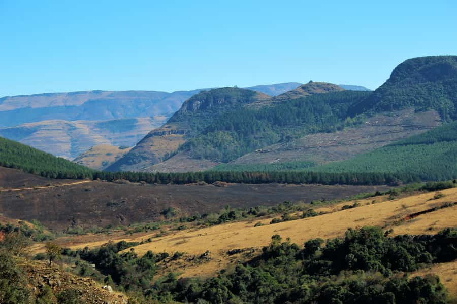 From Hazyview: Panorama Tour Highlights - Why this short Panorama route works