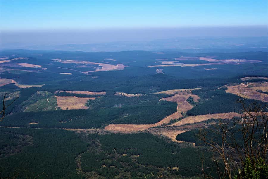 From Hazyview: Panorama Tour Highlights - What the $90 price really covers