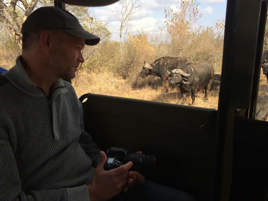 From Hazyview: Private Afternoon Game Drive - Why an afternoon start works well from Hazyview