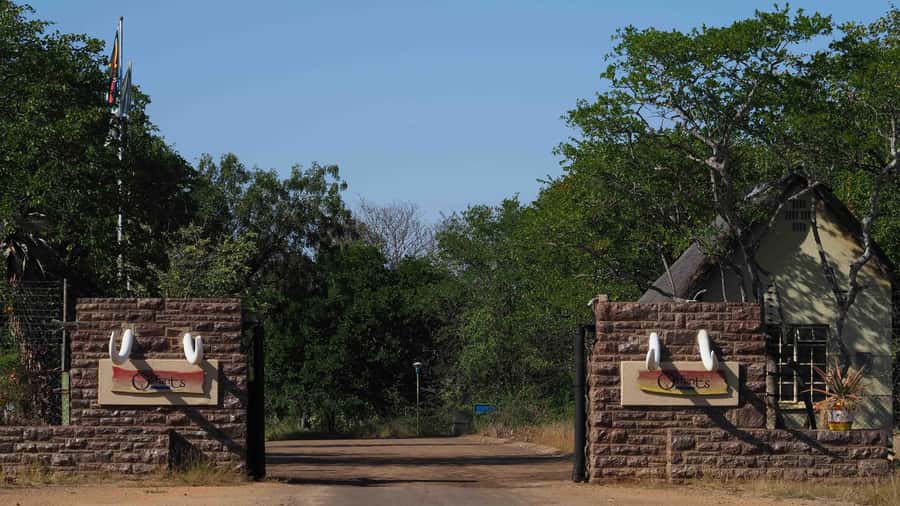 From Johannesburg: 2-Day Safari into Kruger National Park - Group size, language, and guide service