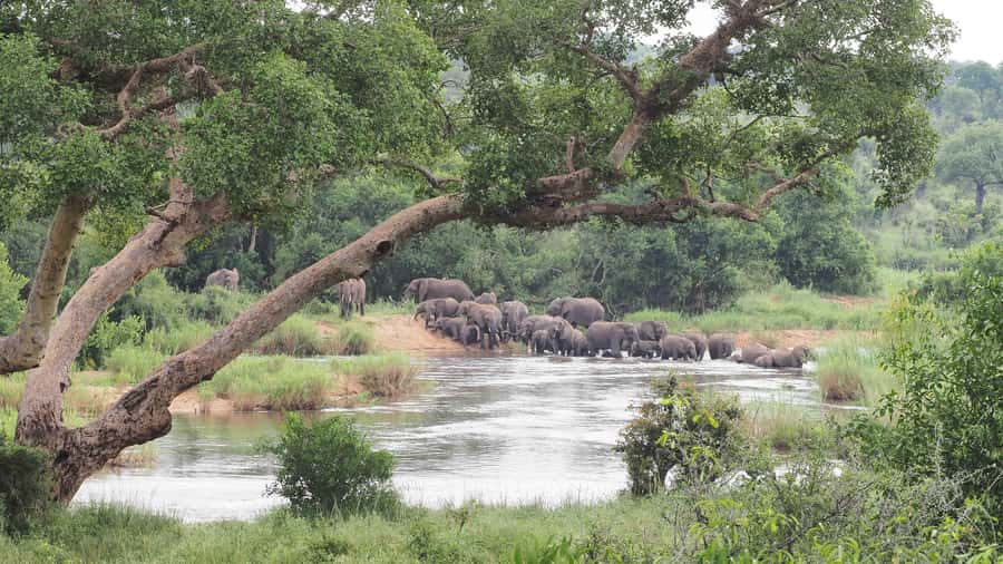 From Johannesburg: 2-Day Safari into Kruger National Park - Who should book this two-day trip