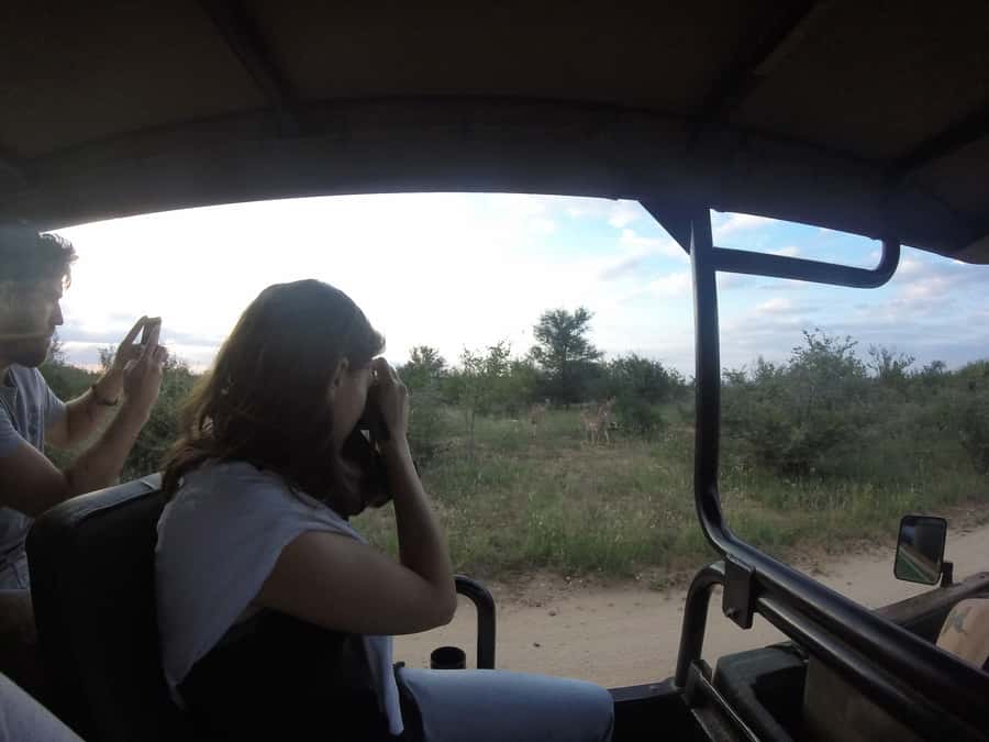 From Johannesburg: 3-Day Budget Tent Kruger Park Safari - Five things to know before you book