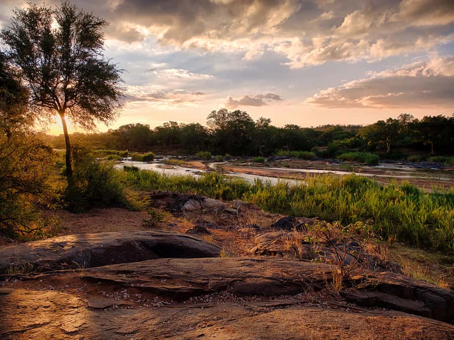 From Johannesburg: 3-Day Budget Tent Kruger Park Safari - Sunset turns into a night drive on Balule